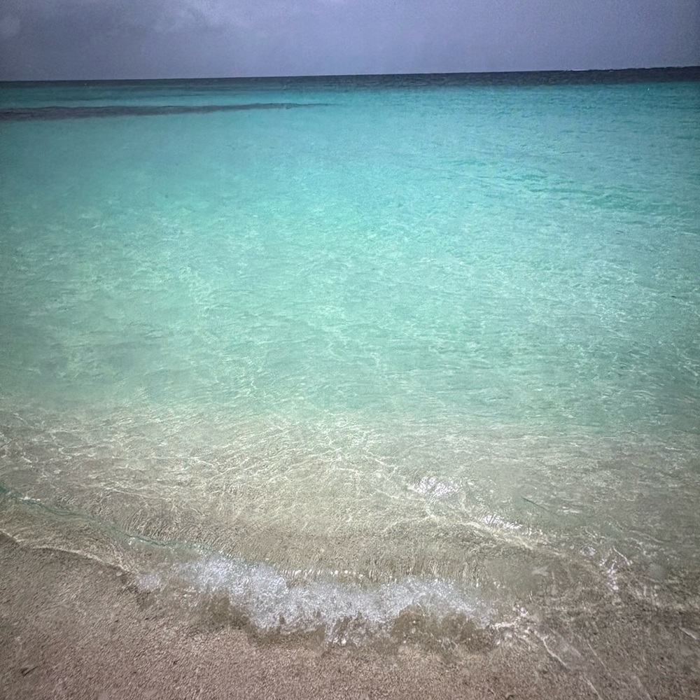 Meet your Posher, Jen